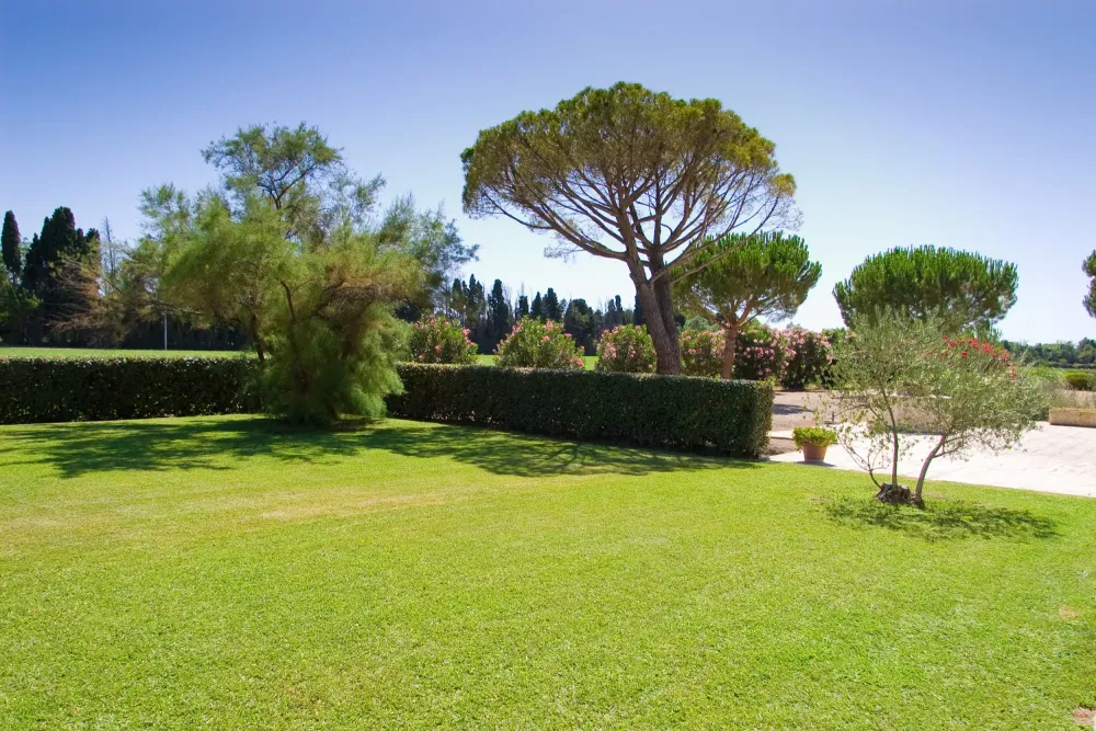 realisations-jardin-3