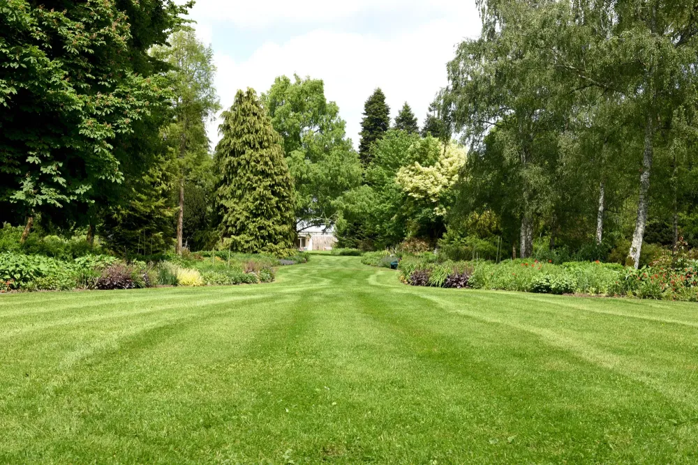 realisations-jardin-1